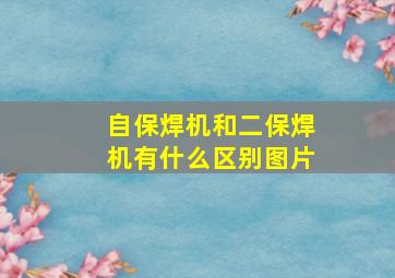 自保焊机和二保焊机有什么区别图片