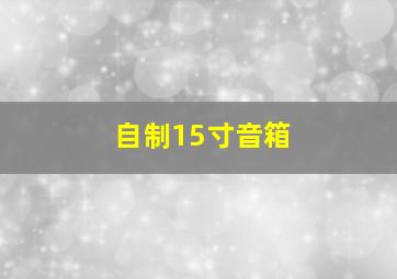 自制15寸音箱