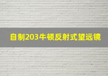 自制203牛顿反射式望远镜