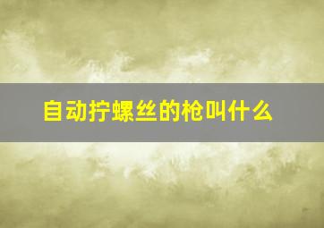 自动拧螺丝的枪叫什么