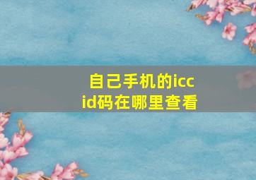 自己手机的iccid码在哪里查看