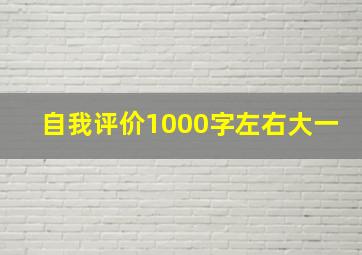 自我评价1000字左右大一