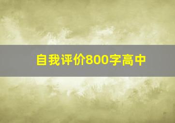 自我评价800字高中