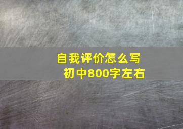 自我评价怎么写初中800字左右