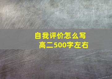 自我评价怎么写高二500字左右