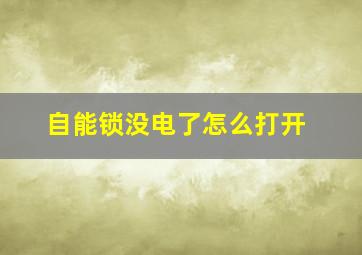 自能锁没电了怎么打开