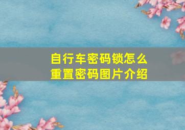 自行车密码锁怎么重置密码图片介绍