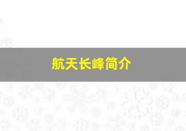 航天长峰简介