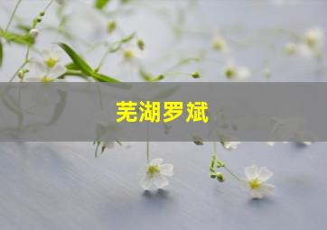 芜湖罗斌