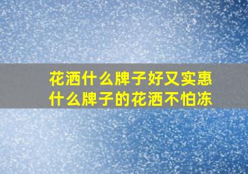 花洒什么牌子好又实惠什么牌子的花洒不怕冻