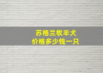 苏格兰牧羊犬价格多少钱一只