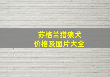 苏格兰猎狼犬价格及图片大全