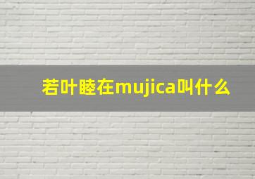 若叶睦在mujica叫什么