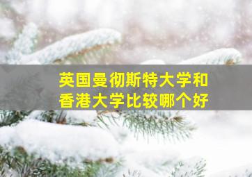 英国曼彻斯特大学和香港大学比较哪个好