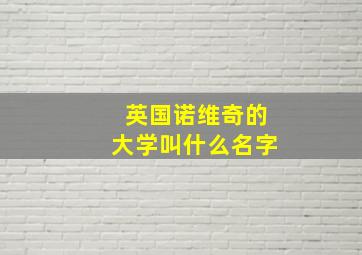 英国诺维奇的大学叫什么名字