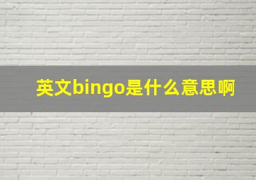 英文bingo是什么意思啊