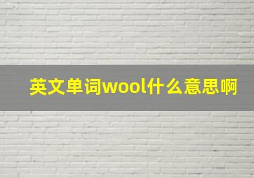 英文单词wool什么意思啊