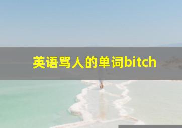 英语骂人的单词bitch