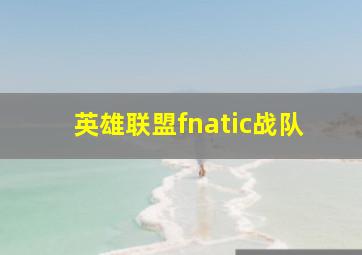 英雄联盟fnatic战队