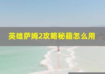 英雄萨姆2攻略秘籍怎么用