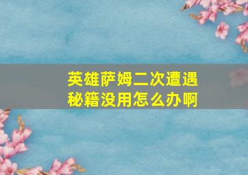 英雄萨姆二次遭遇秘籍没用怎么办啊