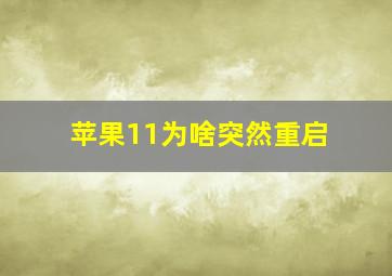 苹果11为啥突然重启