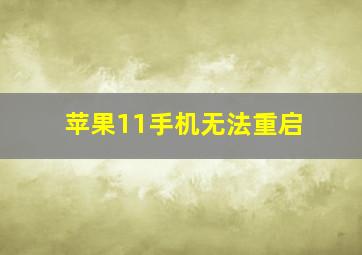 苹果11手机无法重启