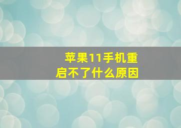 苹果11手机重启不了什么原因