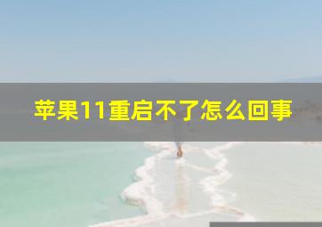 苹果11重启不了怎么回事