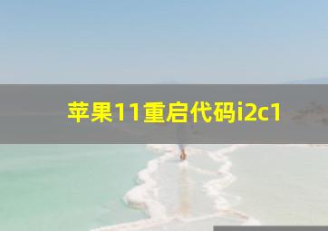 苹果11重启代码i2c1