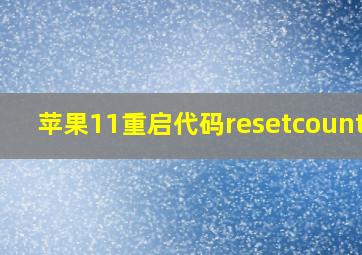 苹果11重启代码resetcounter