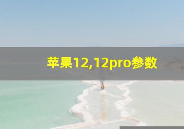 苹果12,12pro参数