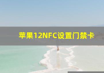 苹果12NFC设置门禁卡