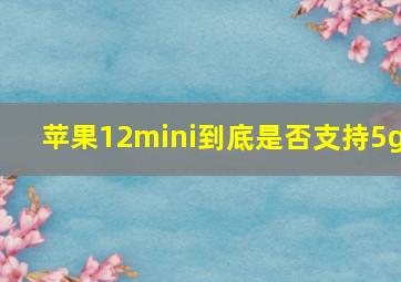 苹果12mini到底是否支持5g