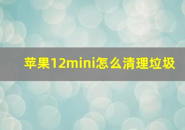 苹果12mini怎么清理垃圾