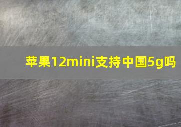 苹果12mini支持中国5g吗