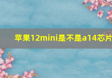 苹果12mini是不是a14芯片