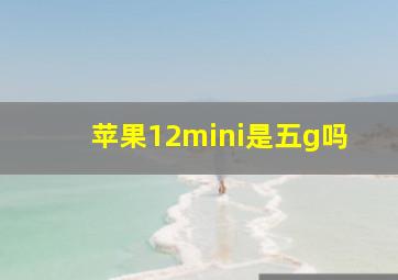 苹果12mini是五g吗