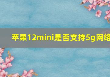 苹果12mini是否支持5g网络