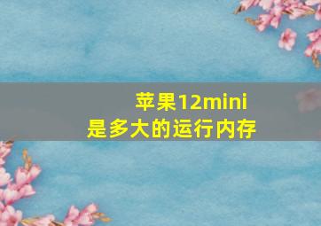 苹果12mini是多大的运行内存