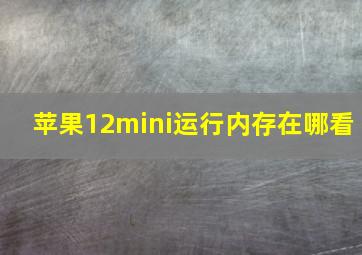 苹果12mini运行内存在哪看