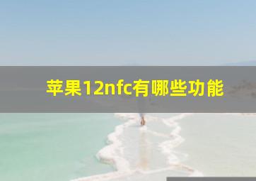 苹果12nfc有哪些功能