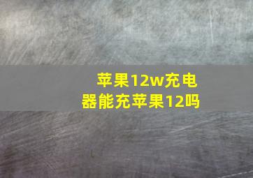 苹果12w充电器能充苹果12吗