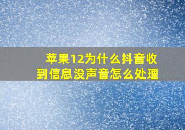 苹果12为什么抖音收到信息没声音怎么处理