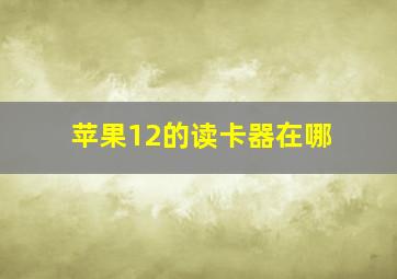 苹果12的读卡器在哪