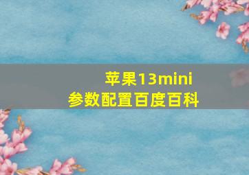 苹果13mini参数配置百度百科