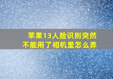 苹果13人脸识别突然不能用了相机里怎么弄