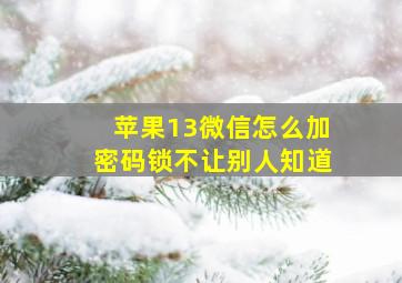 苹果13微信怎么加密码锁不让别人知道