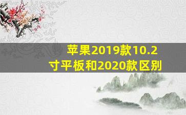 苹果2019款10.2寸平板和2020款区别