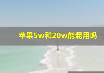 苹果5w和20w能混用吗